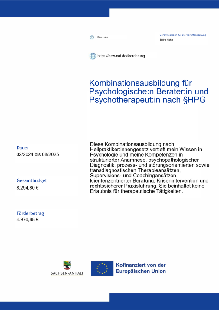 Plakat kofinanziert durch EU für HPP-Ausbildung